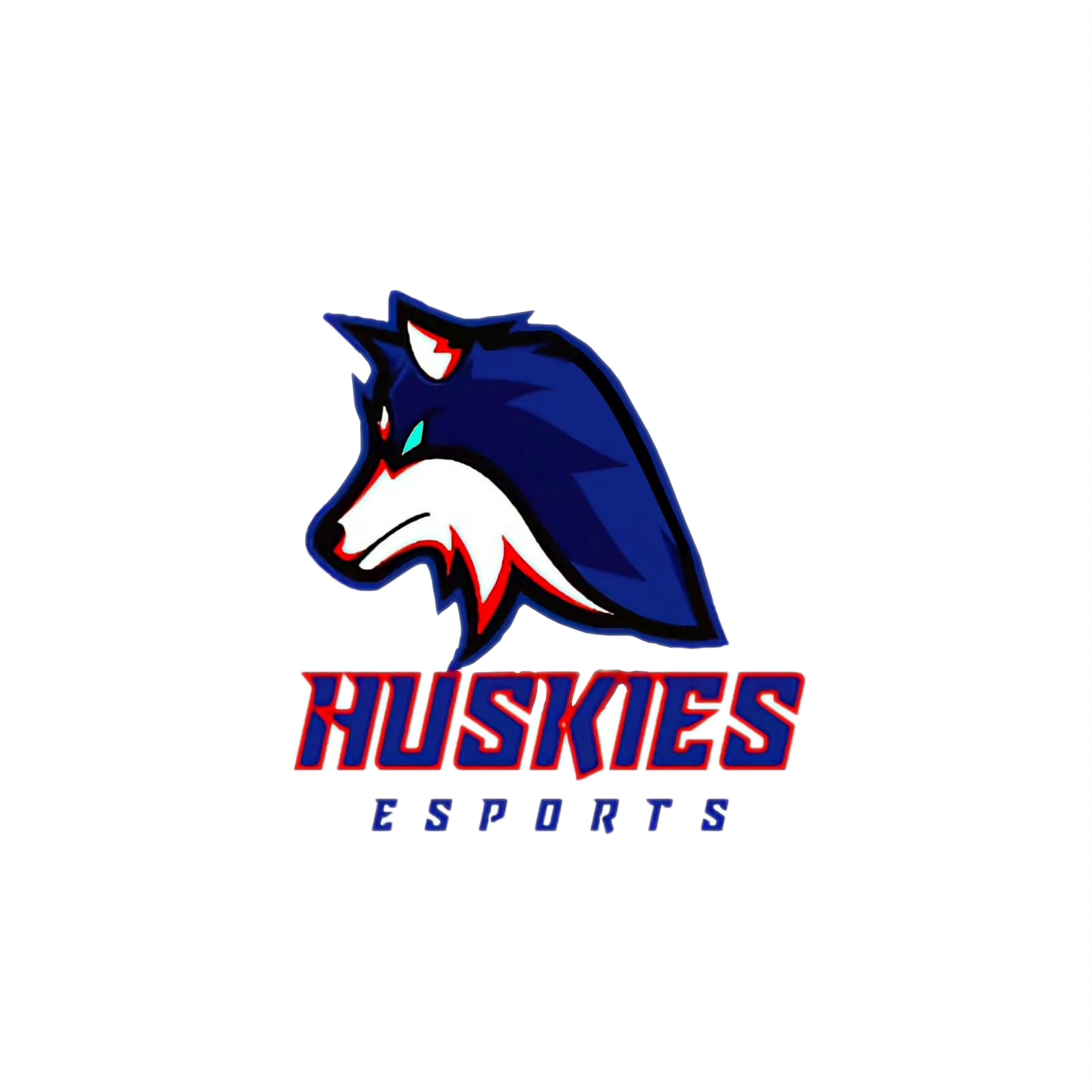 Huskies eSports (DNF)